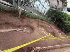 -沈阳植物园