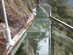 -九龙江国家森林公园