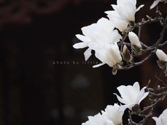 -杭州上天竺法喜讲寺