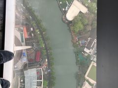 景观位-339旋转餐厅(天府熊猫塔店)