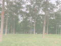 -天津东丽湖风景区