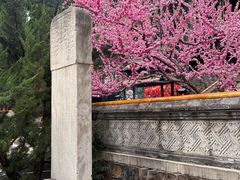 -潭柘寺景区