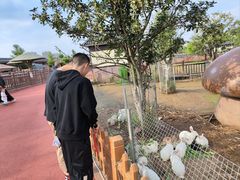 -中国汉城景区