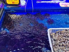 -万宝海鲜舫(劳动公园店)