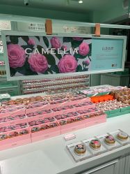 -青稚护手霜QINGZHI