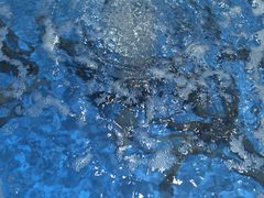 -盒马鲜生(馥邦国际店)