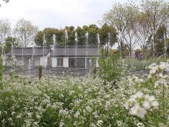 景点-南汇桃花村