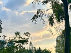 -人民公园(罗湖区)