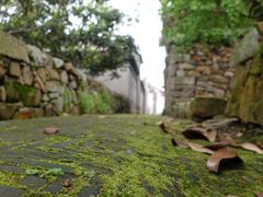 -东山风景区(洞庭东山)