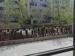 -莫子山公园