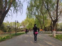 -东疆建设开发纪念公园