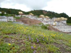 -达仓郎木寺院