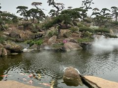 -罗红摄影艺术馆