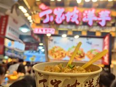 -周小亮丁家坡洋芋(全国总店)