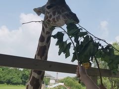 -宁波野生动物园