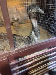 -酷嗒动物文化乐园(cutezoo西溪乐天城店)