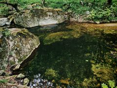 -牛背梁国家森林公园