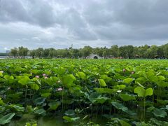 -长春市南湖公园