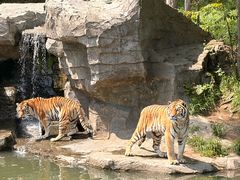 -宁波野生动物园