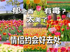-大宁公园