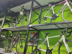 -道路口单车爱瓦士dahon大行