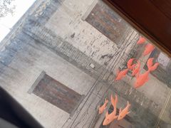 -碗中海·蒸汽海鲜·桑拿鸡(岭南天地店)