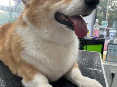 -味多美蛋糕(旧头路店)