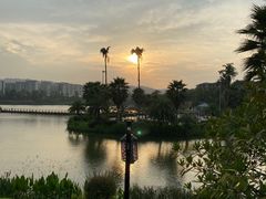 -枫香湖儿童公园