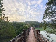 -广州白江湖森林公园