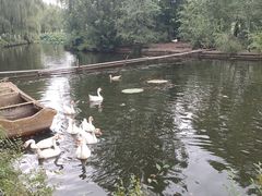 -廊坊市自然公园