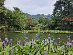 -中国茶叶博物馆(双峰馆区)