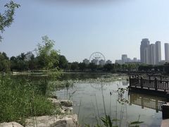 -天津水上公园