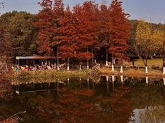 -鄞州公园南门停车场