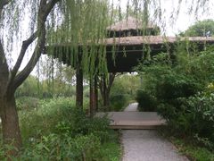 -新江湾城公园
