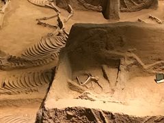 -洛阳周王城天子驾六博物馆