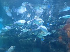 -海合安成都极地海洋公园