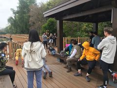 -大湾区中央湿地公园