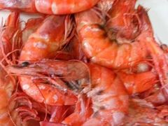 -大班家政月嫂育儿嫂(深圳NO.1店)