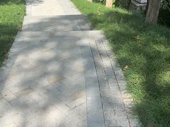 -新洲生态园