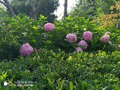 -杭州城北体育公园