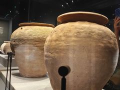 -广西壮族自治区博物馆