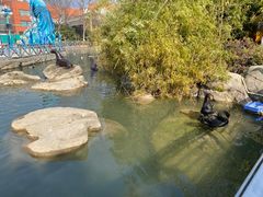 -海合安武汉极地海洋公园
