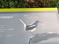 -云溪植物园