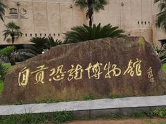 -自贡恐龙博物馆