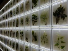 -广东中医药博物馆