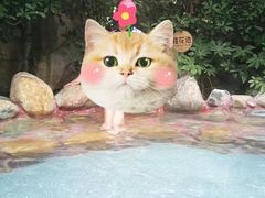 -贵御温泉