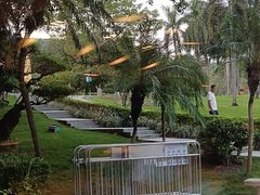 -盆满钵满·国家非遗传承(云台店)