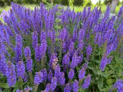 -汉长安城未央宫国家考古遗址公园