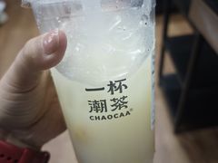-一杯潮茶·专注潮汕茶饮(朝阳庄店)