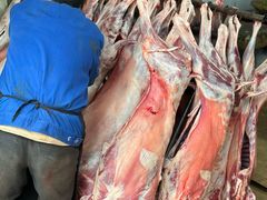 -野狗羊肉汤